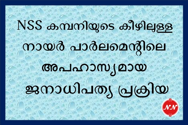 NSS Parliament